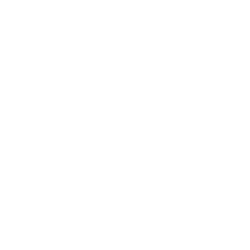 Chef Inox