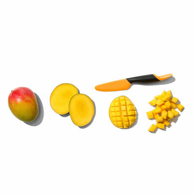 OXO GG MANGO SLICER