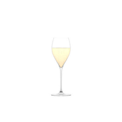  Everyday The Sparkling Wine Glass (Four Pack)